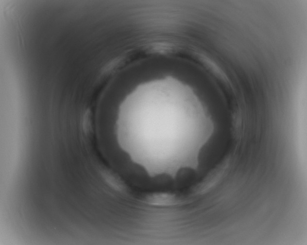 X0000113920361200910011517