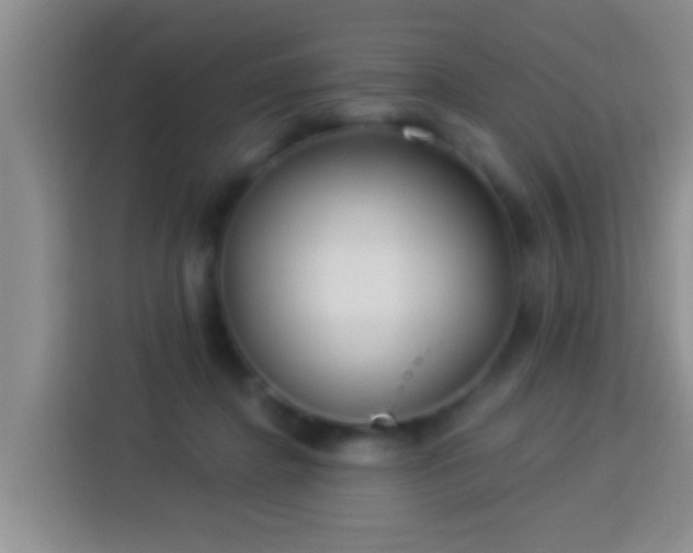 X0000113920364200910011517