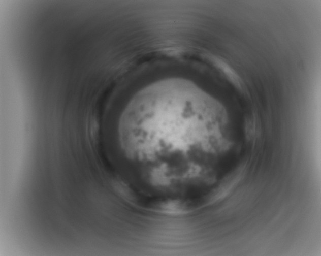 X0000113920365200910011517