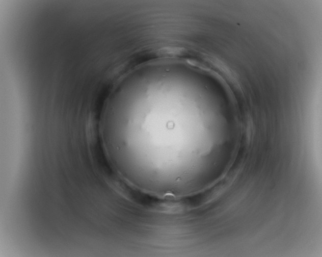 X0000113920366200910011517