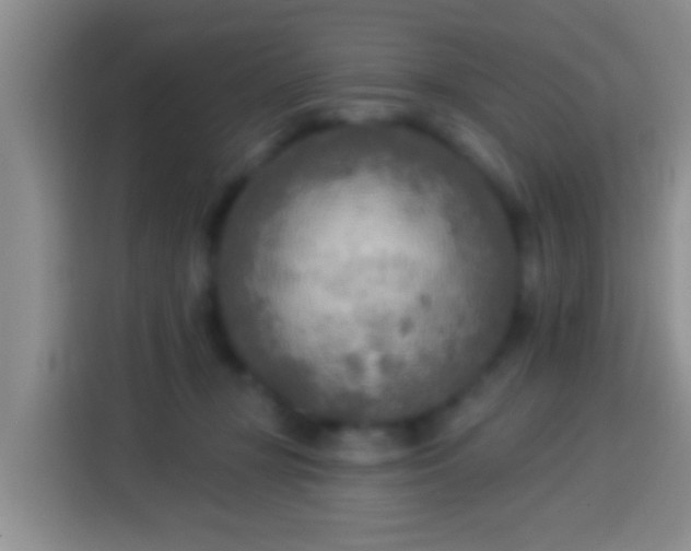 X0000113920367200910011517