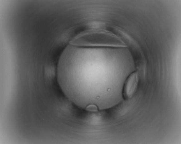 X0000113920368200910011517