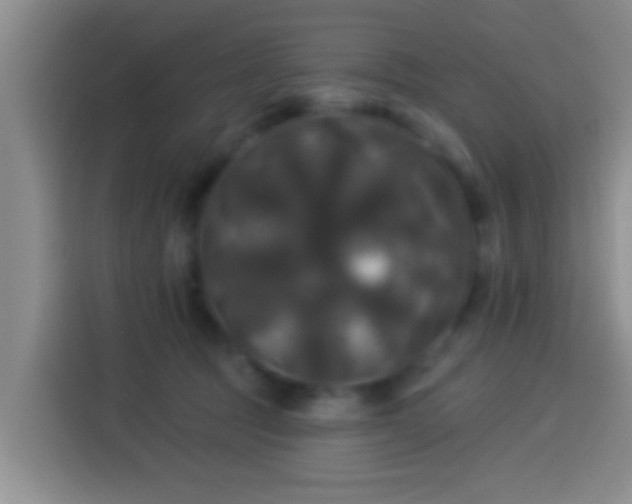 X0000113920369200910011517