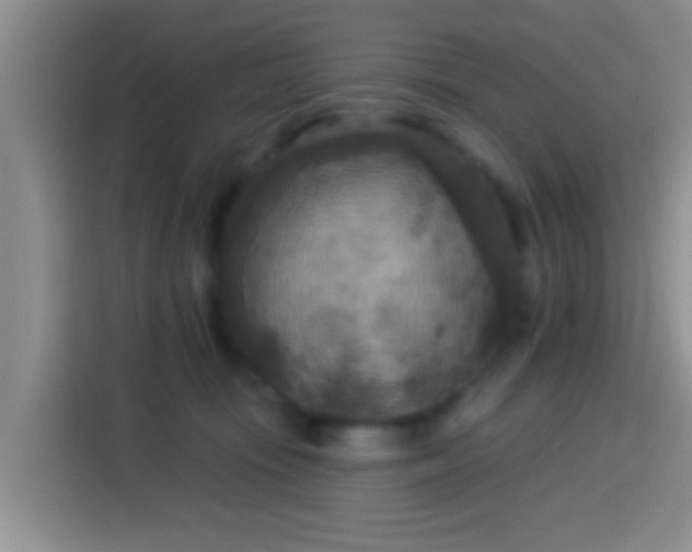 X0000113920371200910011517