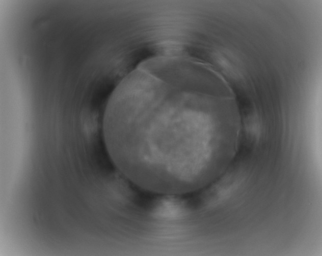 X0000113920372200910011517
