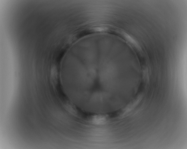X0000113920373200910011517
