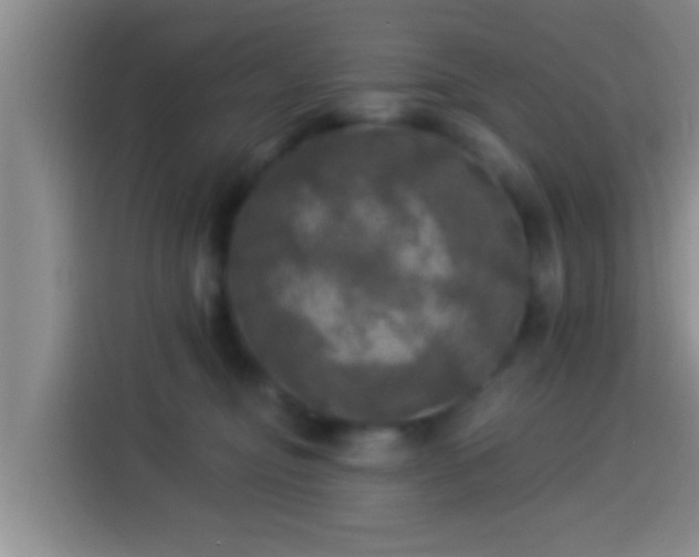 X0000113920374200910011517