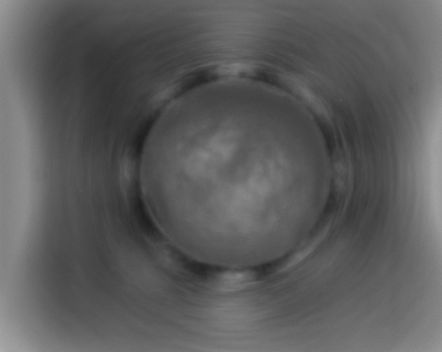 X0000113920375200910011517