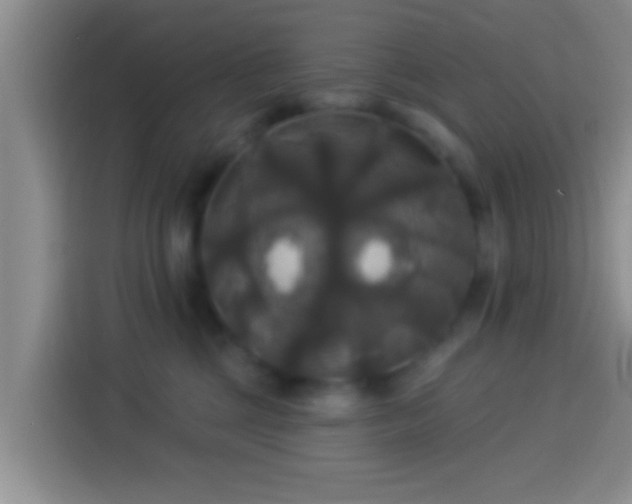 X0000113920377200910011517