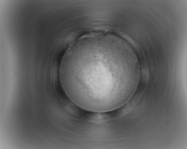 X0000113920379200910011517