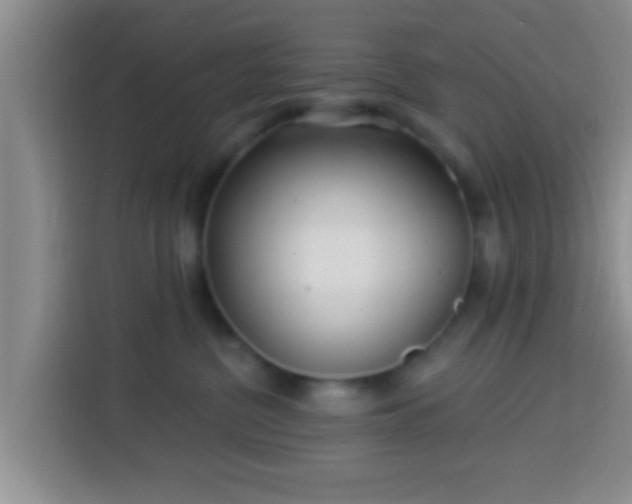 X0000113920380200910011517