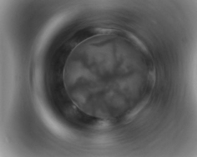 X0000113920381200910011517