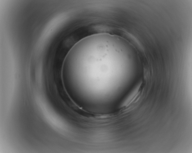 X0000113920382200910011517