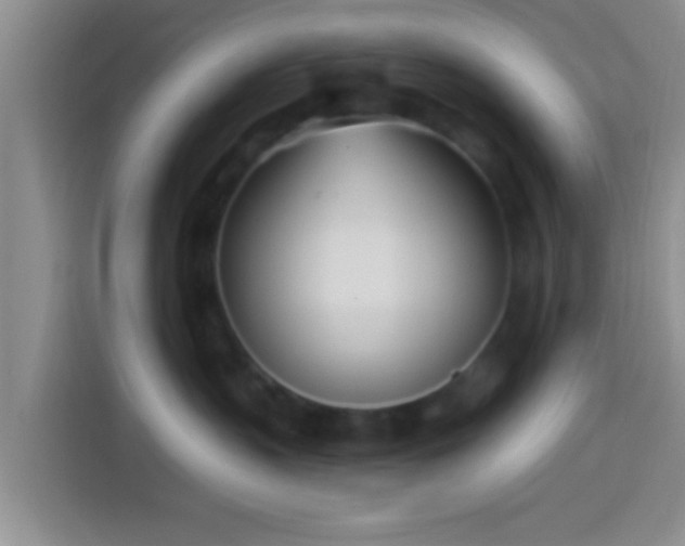 X0000113920383200910011517