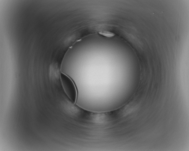 X0000113920384200910011517