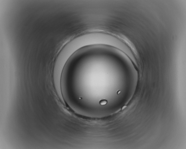 X0000113920385200910011516