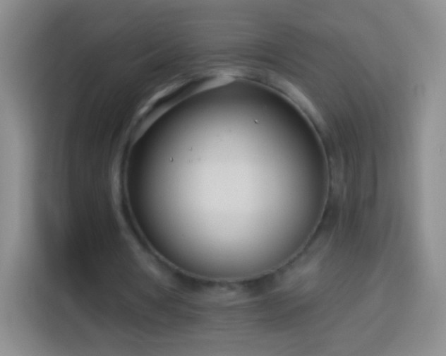 X0000113920386200910011516