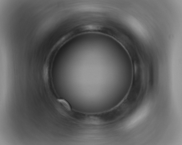X0000113920387200910011516