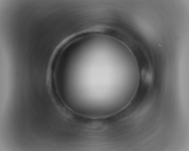 X0000113920388200910011516
