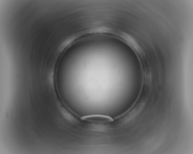 X0000113920389200910011516