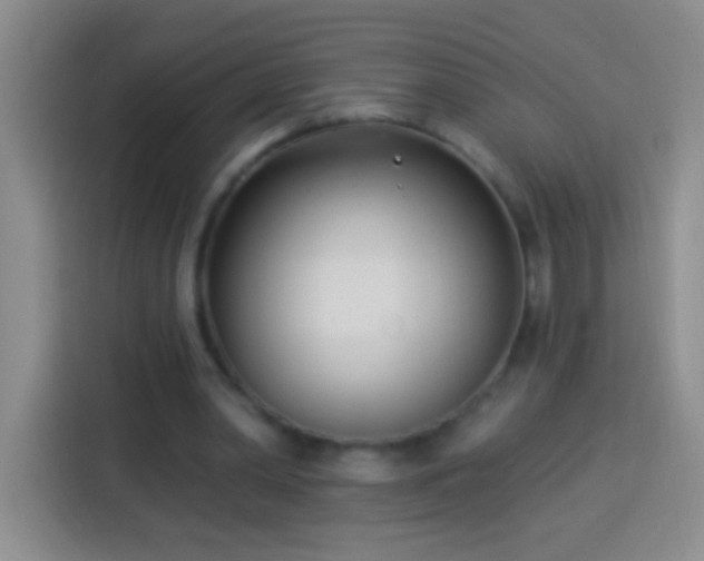 X0000113920390200910011516
