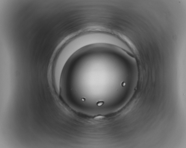 X0000113920391200910011516
