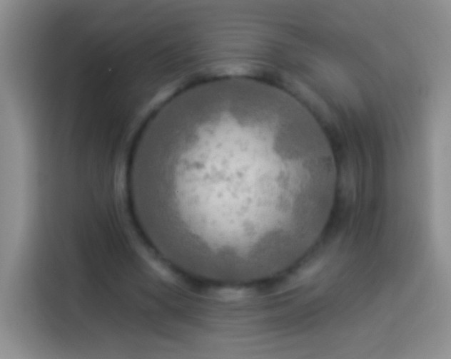 X0000113920394200910011516