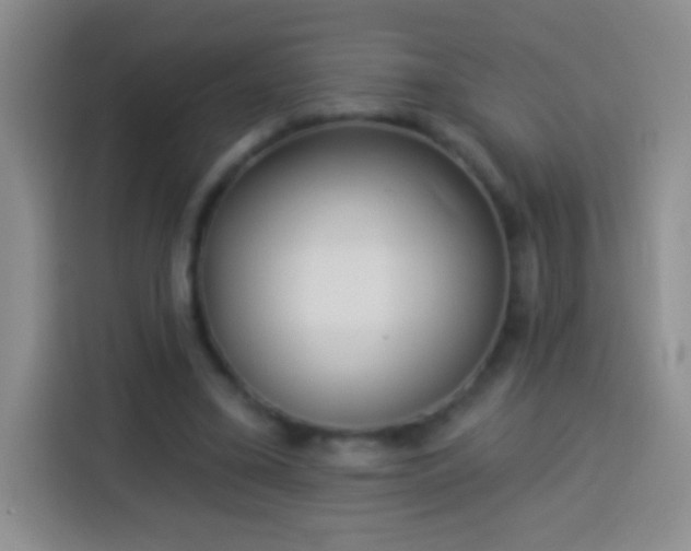 X0000113920395200910011516