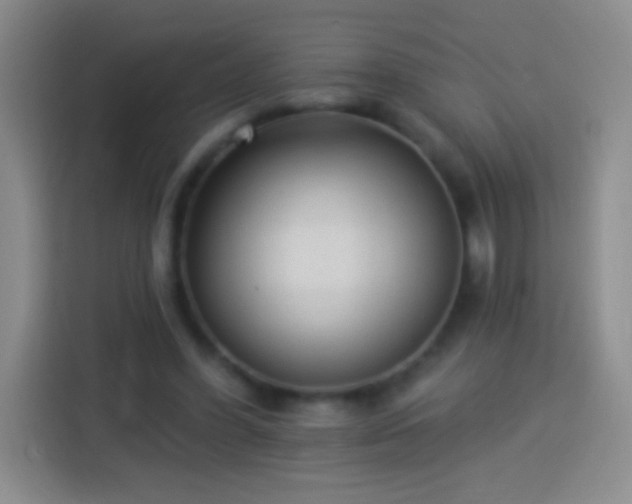 X0000113920396200910011516