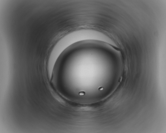 X0000113920397200910011516