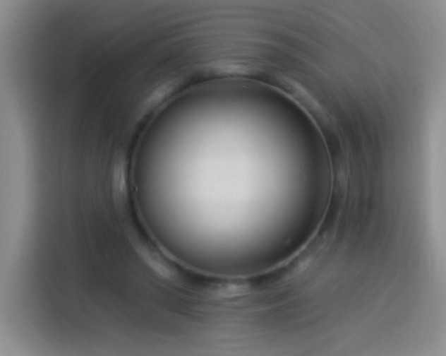 X0000113920398200910011516