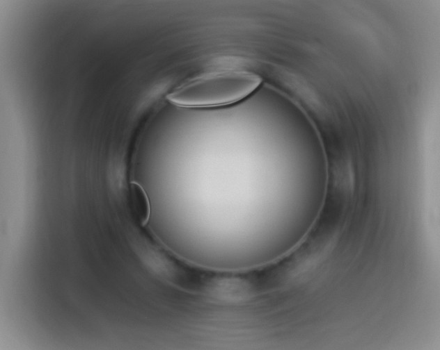 X0000113920399200910011516