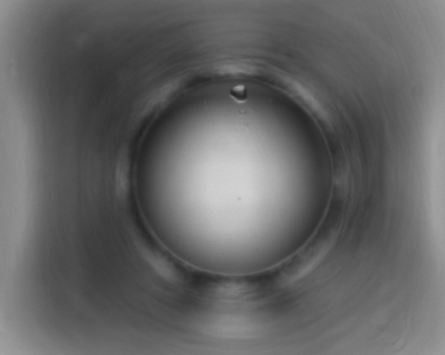 X0000113920402200910011516