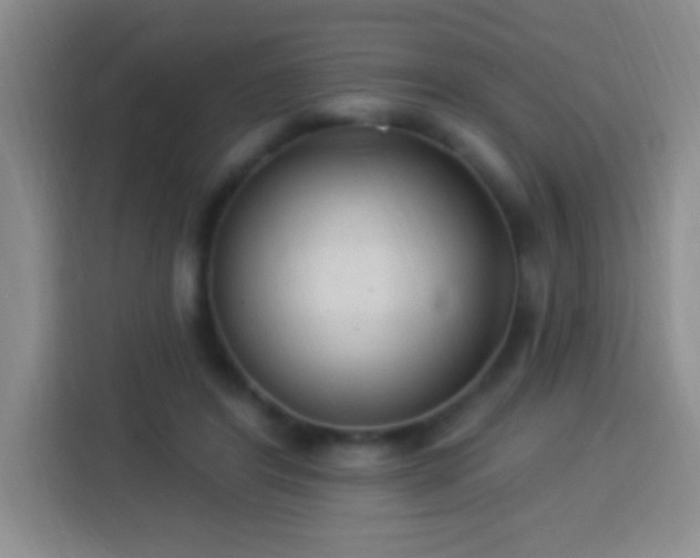 X0000113920404200910011516