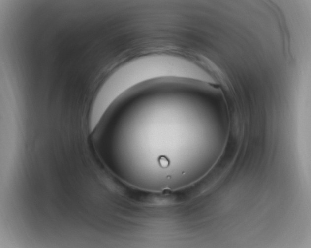 X0000113920405200910011516
