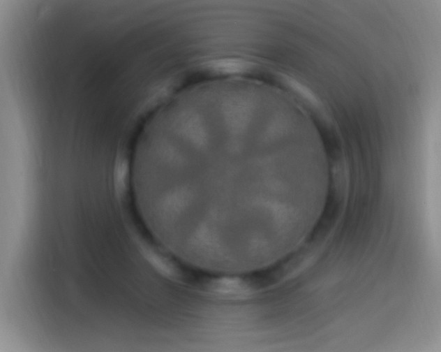 X0000113920406200910011516