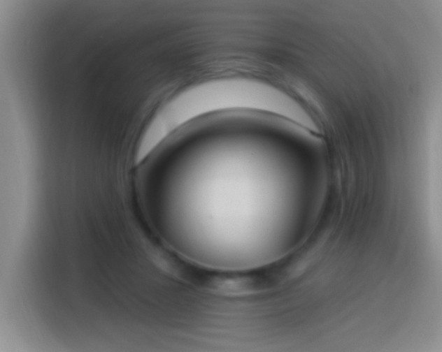X0000113920407200910011516