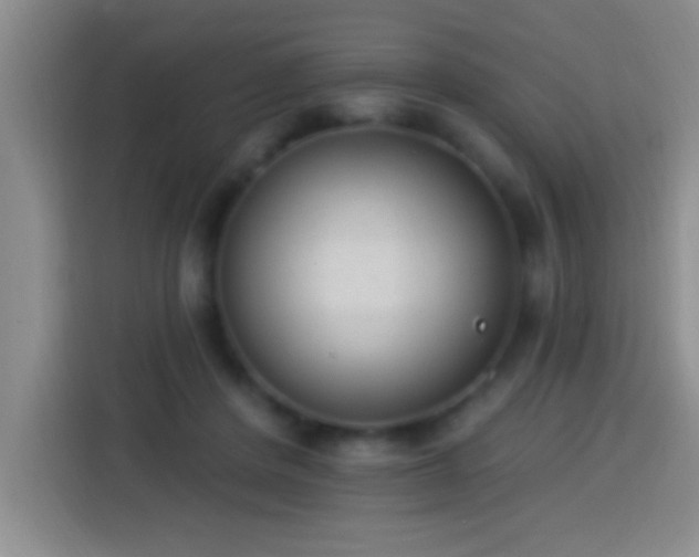 X0000113920408200910011516
