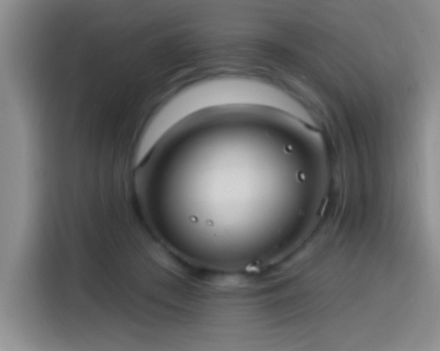 X0000113920409200910011516