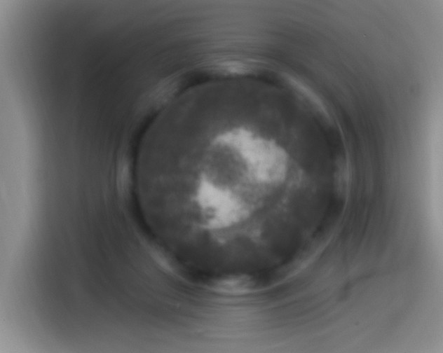 X0000113920410200910011516