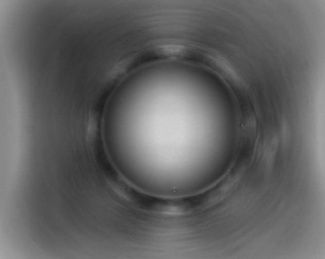 X0000113920412200910011516