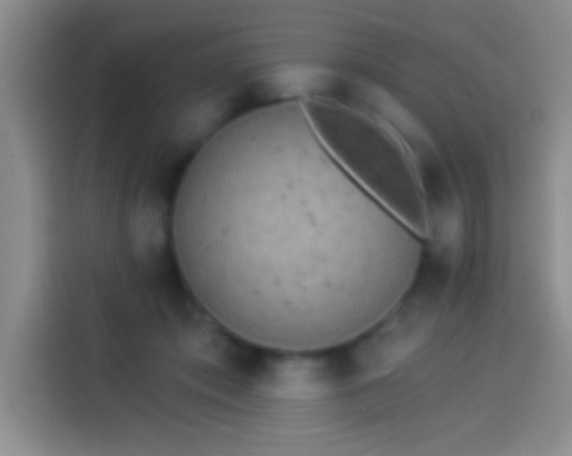 X0000113920413200910011516