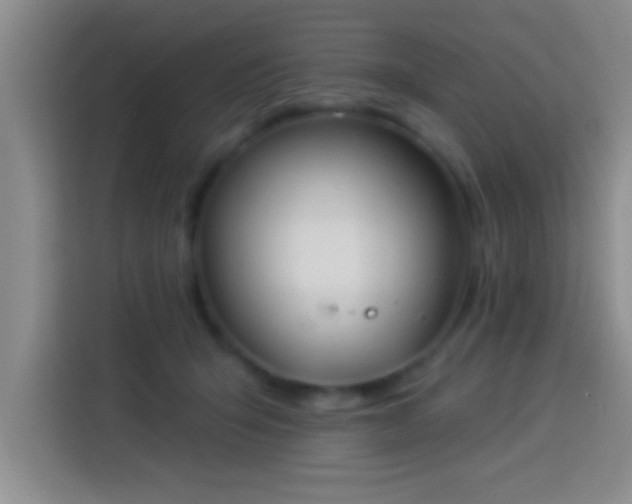 X0000113920415200910011516