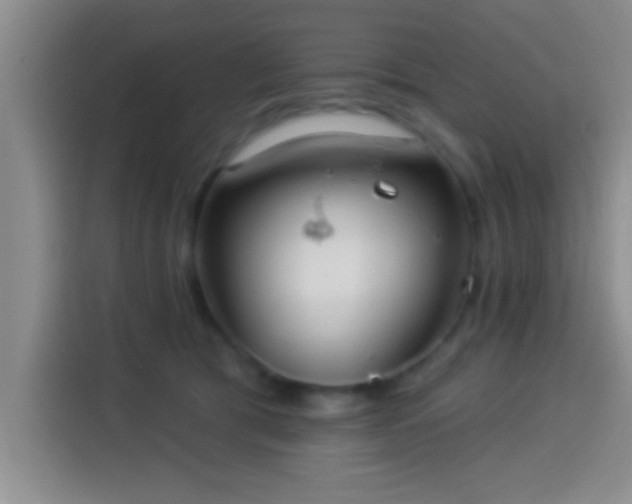 X0000113920417200910011516