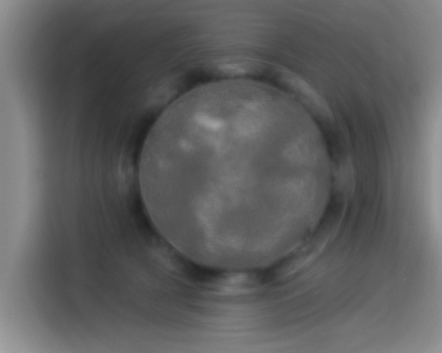 X0000113920418200910011516