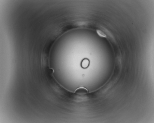 X0000113920421200910011516