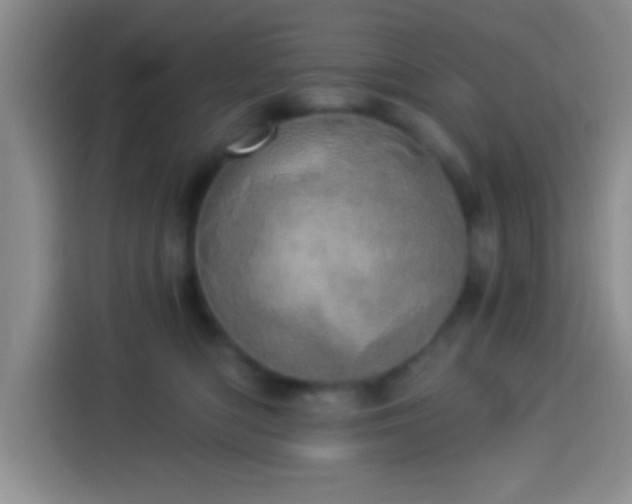 X0000113920422200910011516