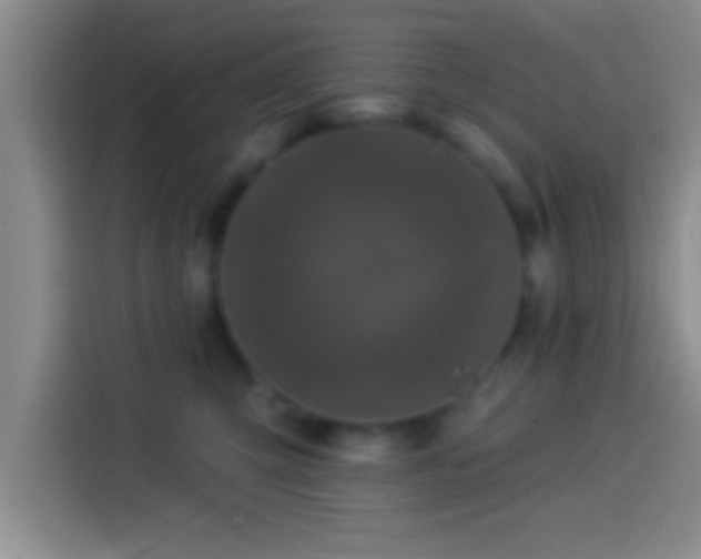 X0000113920423200910011516