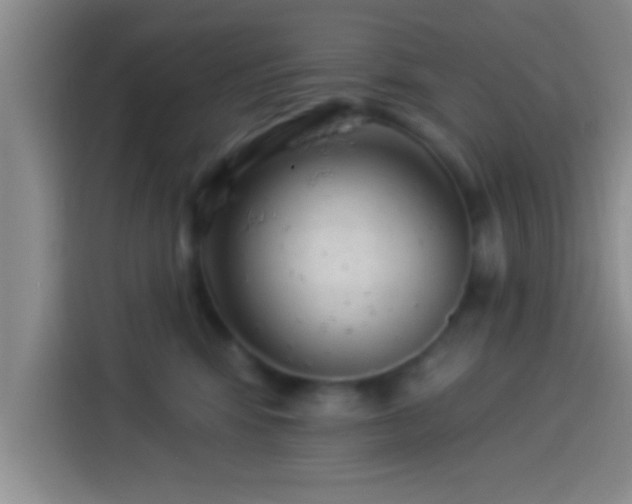 X0000113920424200910011516