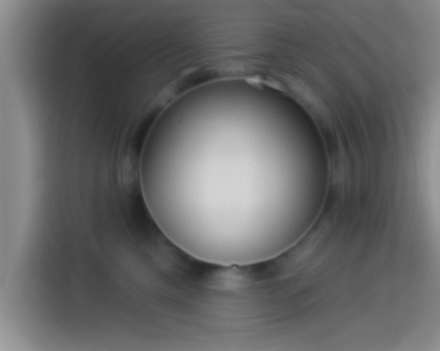 X0000113920425200910011516